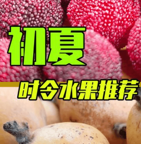 网服-饿了么 苏州时令水果推荐