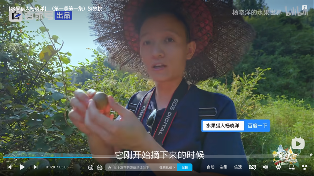 水果猎人杨晓洋纪录片2.png