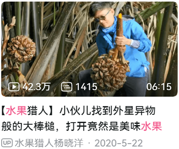 纪录片《水果传》第一季