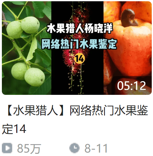 食品-爱礼大列巴面包试吃